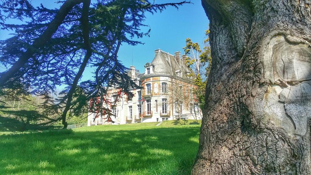 Chateau De Chantore Bacilly Экстерьер фото