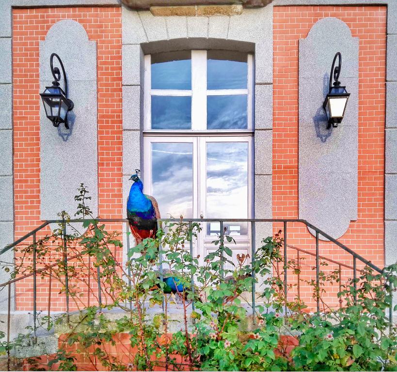 Chateau De Chantore Bacilly Экстерьер фото